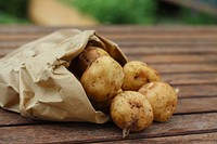 Free pile of hazelnuts background photo, public domain food CC0 image.