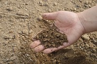 Hand holding dirt, free public domain CC0 photo