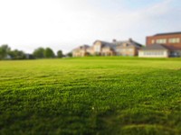 Field of grass, free public domain CC0 photo