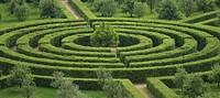 Free maze garden photo, public domain plant CC0 image.