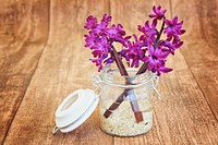 Free hyacinth in glass vase image, public domain flower CC0 photo.