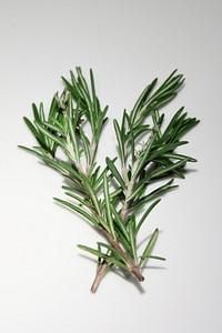 Free rosemary image, public domain food CC0 photo.