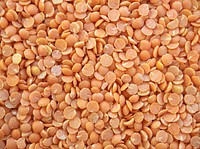 Free yellow split lentils background public domain CC0 photo.