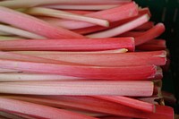 Free pile of rhubarb stems photo, public domain  vegetable CC0 image.