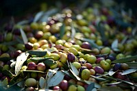 Free pile of olives photo, public domain food CC0 image.