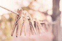 wooden laundry clips, free public domain CC0 photo