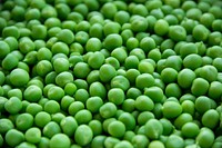 Free pile of green peas background photo, public domain yyy vegetables image.