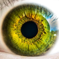 Free green eye photo, public domain human CC0 image.