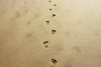 Free footprints on sand, travel background, public domain CC0 photo.