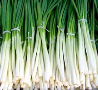 Free pile of green onions image, public domain CC0 photo.