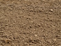 Free soil photo, public domain ground CC0 image.