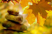 Free autumn leaves and stones image, public domain season CC0 photo.