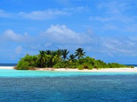 Sunny beach with palm tree, blue sky background, free public domain CC0 photo.