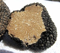 Free truffles image, public domain food CC0 photo.