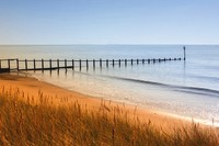 Yellow field shoreline with the sea, free public domain CC0 photo.