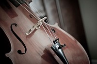 Free violin image, public domain musical instrument CC0 photo.