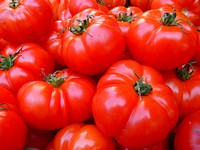 Free image of a big pile of Heirloom tomatoes, public domain CC0 photo.