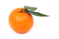 Free orange image, public domain fruit CC0 photo.