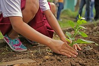 Free kid growing a tree public domain CC0 photo.