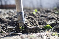 Free spade in soil image, public domain CC0 photo.