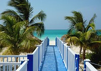 Sunny beach with palm tree, blue sky background, free public domain CC0 photo.