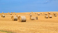 Free rolls of hay image, public domain agriculture CC0 photo.