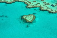 Heart shape coral reef scenery, free public domain CC0 photo.