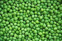 Free pile of green peas background photo, public domain vegetables CC0 image.