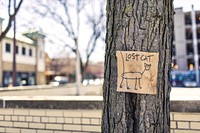 Free drawing lost cat sign on a tree image, public domain CC0 photo.