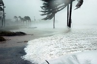 Winter storm blowing in beach, free public domain CC0 photo.