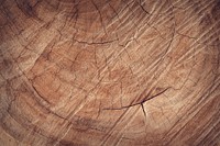 Free wood texture image, public domain natural material CC0 photo.