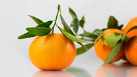 Free oranges image, public domain fruit CC0 photo.