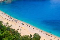 Sunny beach with palm tree, blue sky background, free public domain CC0 photo.