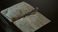 Free old open book with calligraphy notes with flower inside photo, public domain CC0 image.