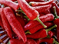 Free closeup on fresh red chilies image, public domain food CC0 photo