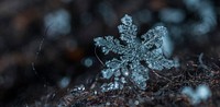 Free snowflake close up image, public domain winter CC0 photo.