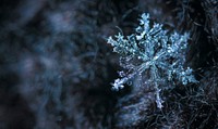 Free snowflakes background image, public domain winter CC0 photo.