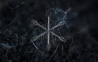 Free snowflake close up image, public domain winter CC0 photo.