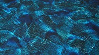 Blue waves, water, abstract, painting, free public domain CC0 photo.