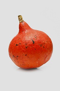 Free closeup on a small orange pumpkin photo, white background public domain CC0 image.