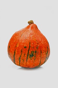 Free closeup on a small orange pumpkin photo, white background public domain CC0 image.