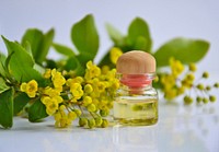 Free essential oil image. Cosmetic public domain CC0 photo.