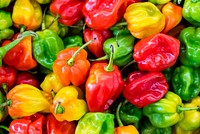 Free green, red, paprika pepper photo, public domain vegetables CC0 image.