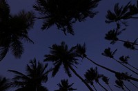 Free night sky image, public domain celestial view CC0 photo.
