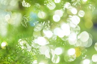 Free green bokeh background image, public domain abstract CC0 photo.