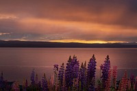 Free beautiful sunset image, public domain landscape CC0 photo.