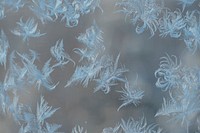 Free snow ice crystals closeup photo, public domain winter CC0 image.