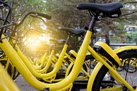 Free yellow bikes lined together image, public domain transportation CC0 photo.