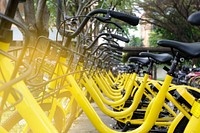 Free yellow bikes lined together image, public domain transportation CC0 photo.