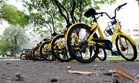 Free yellow bikes lined together image, public domain transportation CC0 photo.